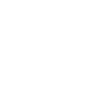 ACE Customs
